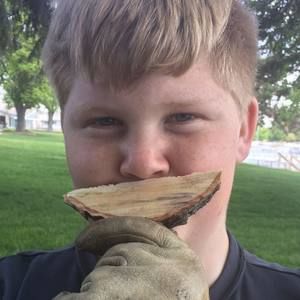 Meet your Posher, Luke